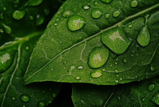 Migräne und die Bedeutung von Vitaminen und Mineralstoffen